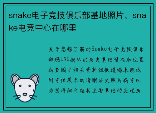 snake电子竞技俱乐部基地照片、snake电竞中心在哪里