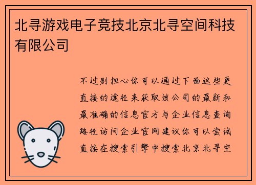 北寻游戏电子竞技北京北寻空间科技有限公司